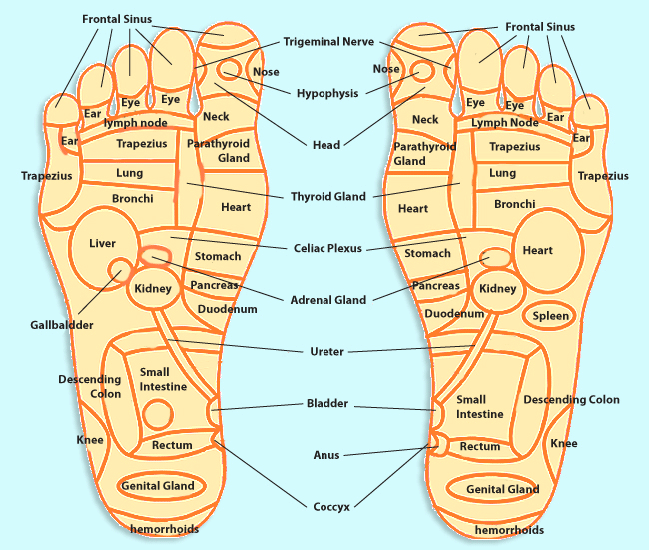 Acupressure Points And Foot Reflexology North Miami Beach Shums Acupuncture Clinic 